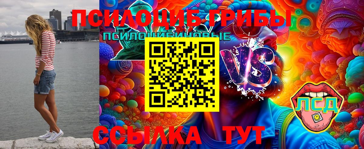 Галлюциногенные грибы Magic Shrooms Карпинск