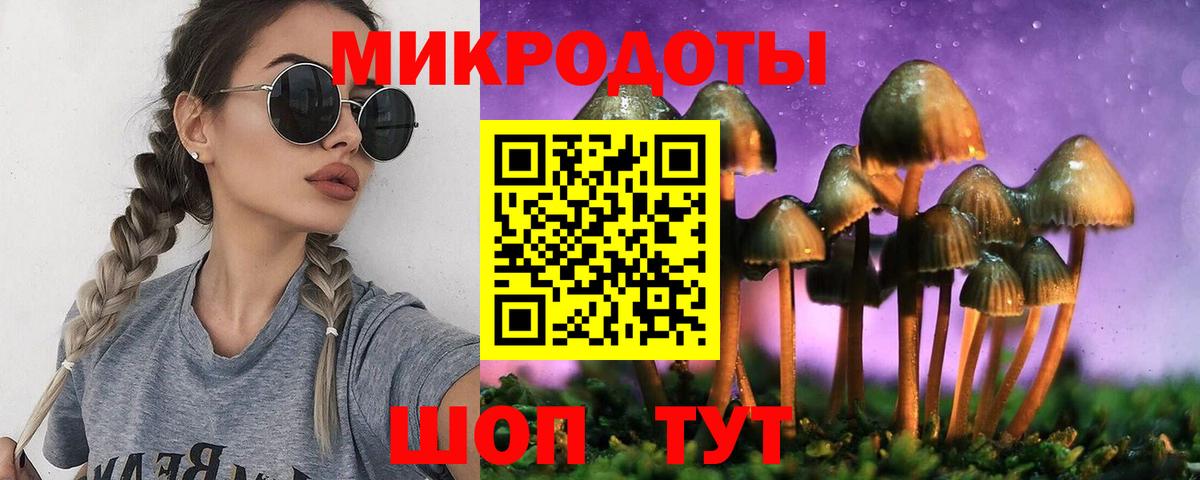 Галлюциногенные грибы Psilocybe  Вход с VPN  Карпинск 