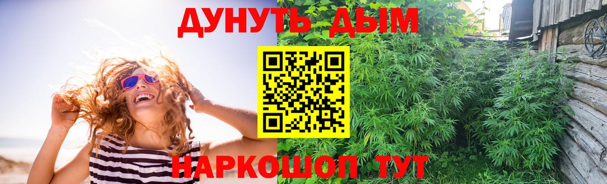 Бошки марихуана SATIVA & INDICA Карпинск